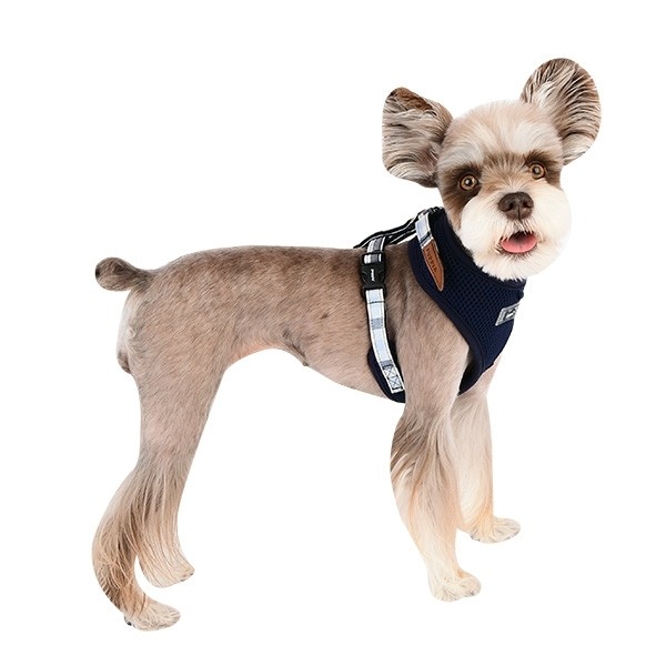 Puppia superior harness best sale