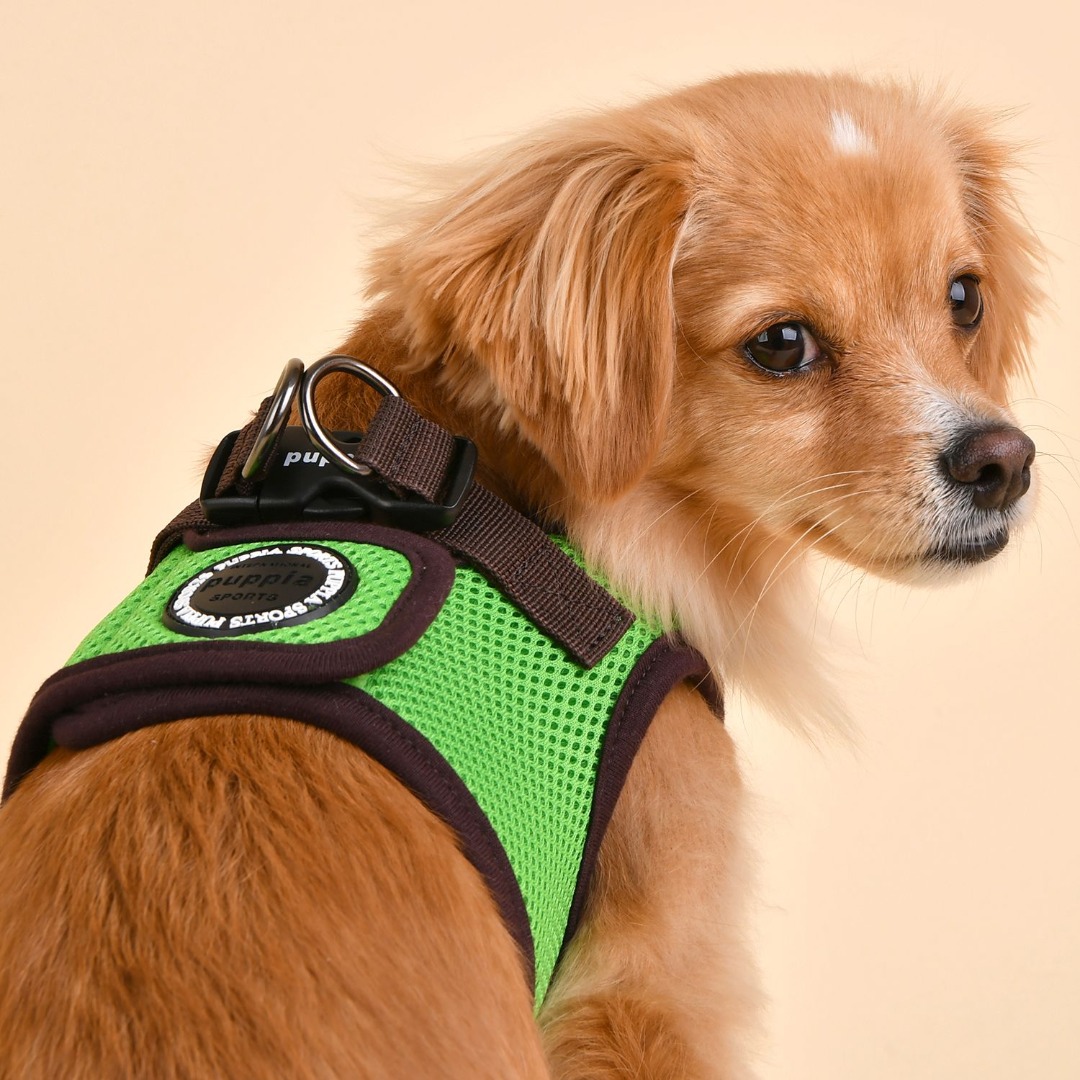 Stadium breuk Raffinaderij Puppia Soft Harness / Honden tuigje Model B Nieuw Green - Feniksware