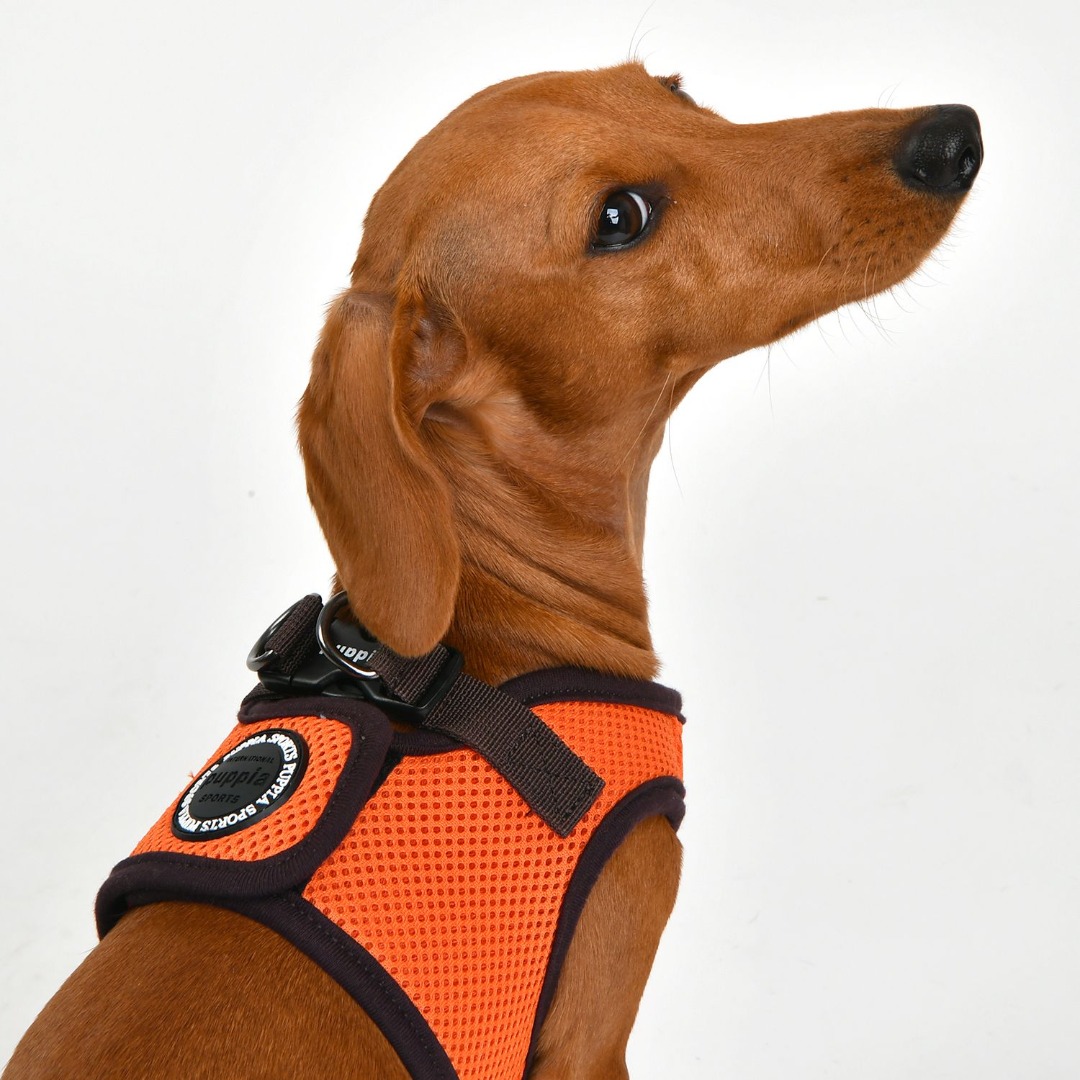moersleutel Afdrukken Verstelbaar Puppia Soft Harness / Honden tuigje Model B Nieuw Orange - Feniksware