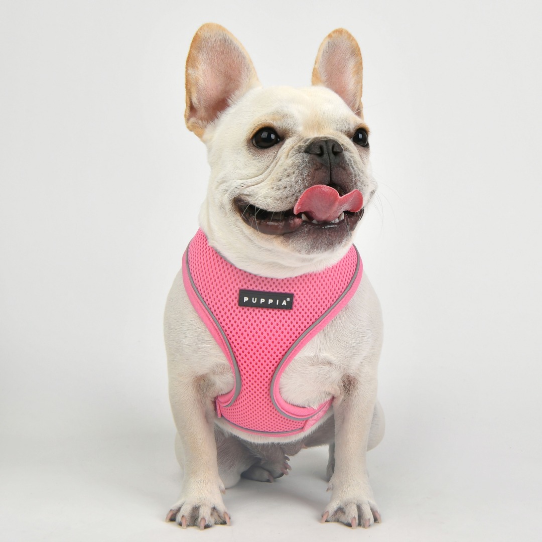 suiker Wanneer werkelijk Puppia Soft Harness / Honden tuigje Pro Reflector Model A Pink - Feniksware